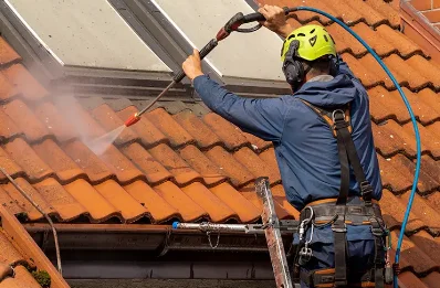 Démoussage et hydrofuge de toiture à Sandrans